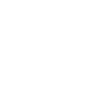 Dr Wayne Dyer