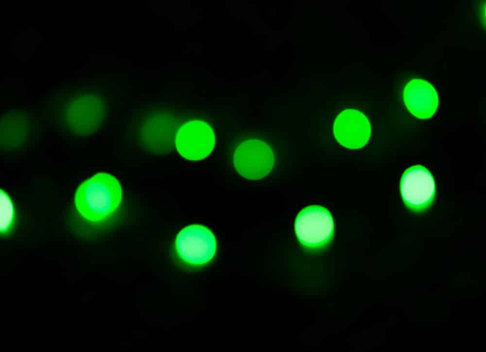 Greenlights