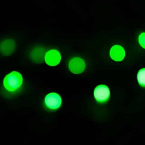 Greenlights